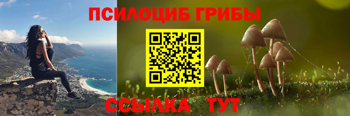 Галлюциногенные грибы GOLDEN TEACHER Кохма